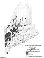 Spring Salamander distribution map (PDF)